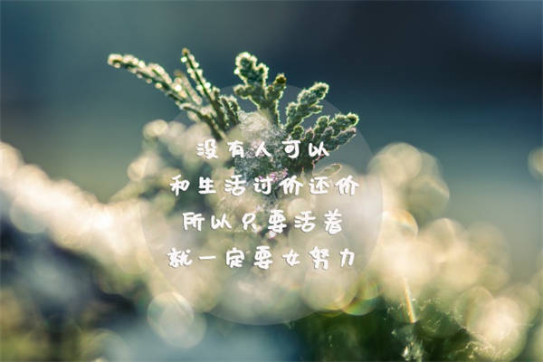 与世无争的诗句